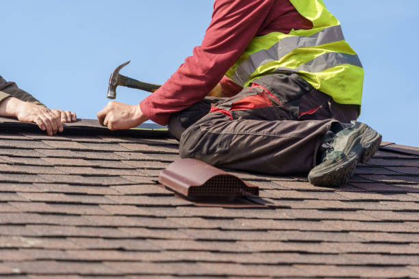 Best Metal Roofing Contractor  in Okawvle, IL