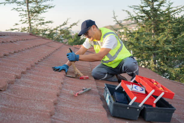 Best Sealant for Roof  in Okawvle, IL