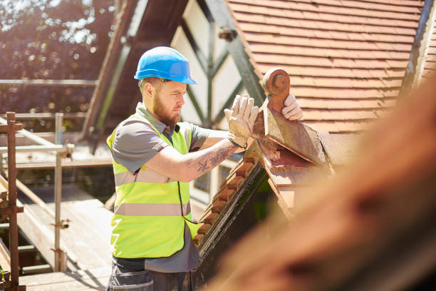 Best Roof Gutter Cleaning  in Okawvle, IL