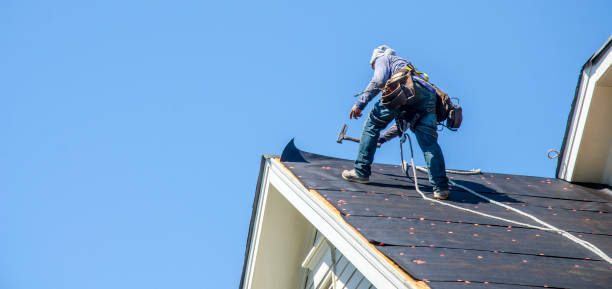 Best Local Roofing Companies  in Okawvle, IL